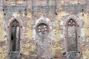 Bad Dürkheim, ruines du monastère de Limburg, ancienne abbaye bénédictine de Limburg an der Haardt